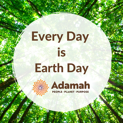 Every Day is Earth Day with forest trees in background