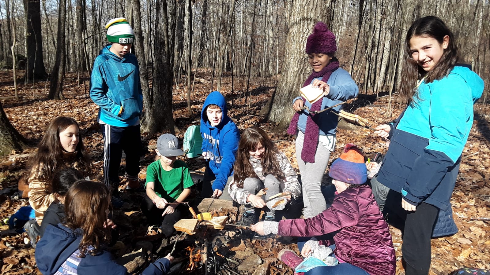 Farm and Forest School | Adamah at Pearlstone