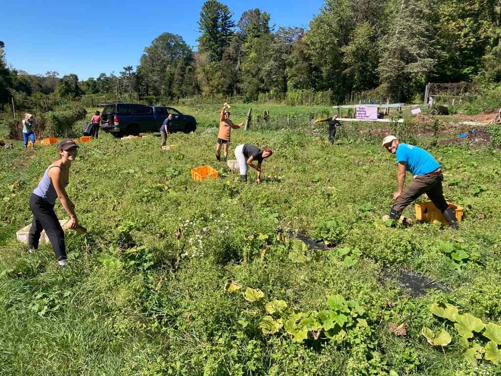 adamah farm fellows